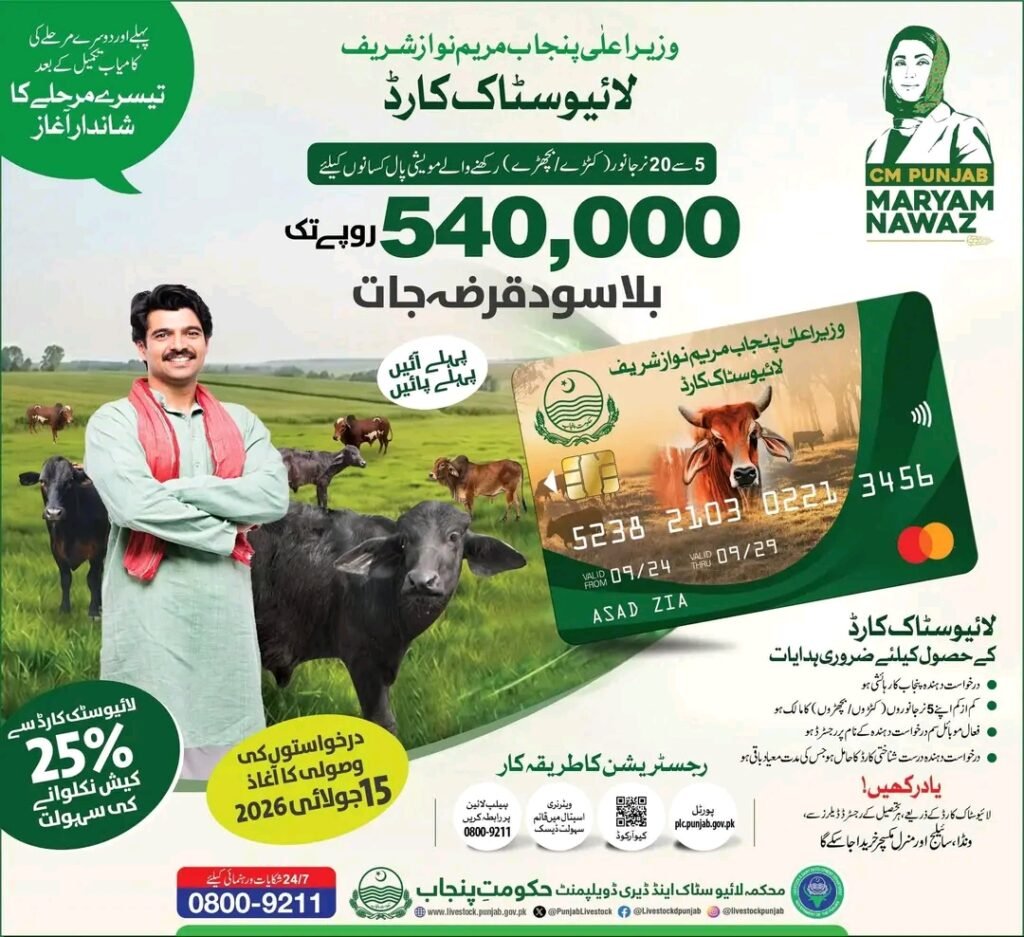 plc.punjab.gov.pk