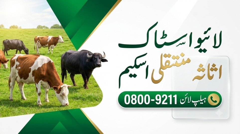 Livestock Asset Transfer Scheme