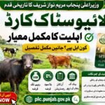 Livestock Card