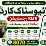 Livestock Card